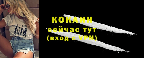 дмт Надым
