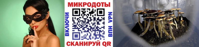 Галлюциногенные грибы мицелий  закладки  Хотьково 